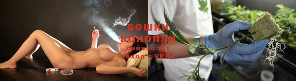 спайс Няндома