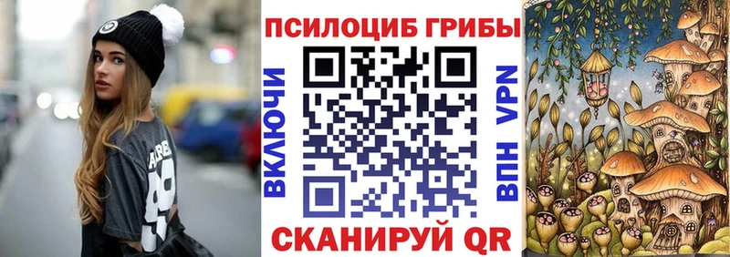 Псилоцибиновые грибы Psilocybine cubensis Трубчевск